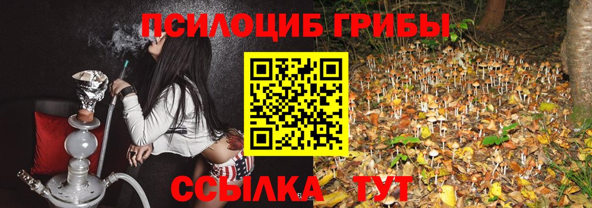 Гурьевск  Галлюциногенные грибы Psilocybine cubensis  Галлюциногенные грибы ЛСД  Вход с VPN 