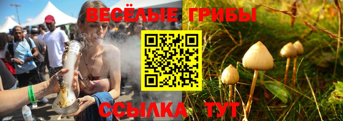 Галлюциногенные грибы Magic Shrooms Гурьевск